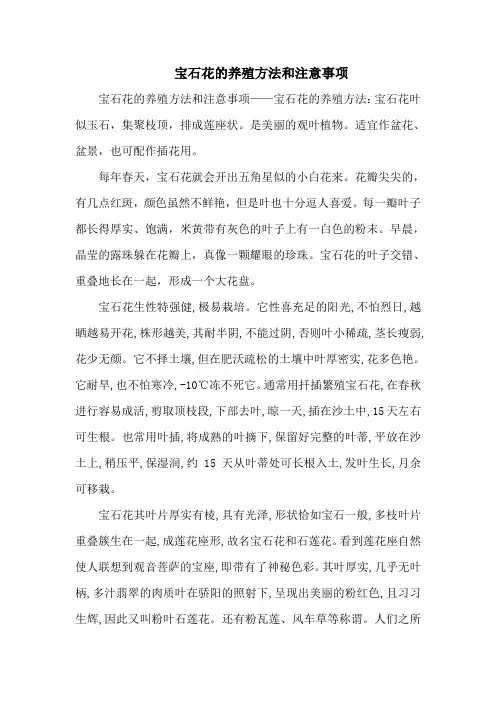 宝石花的养殖方法和注意事项