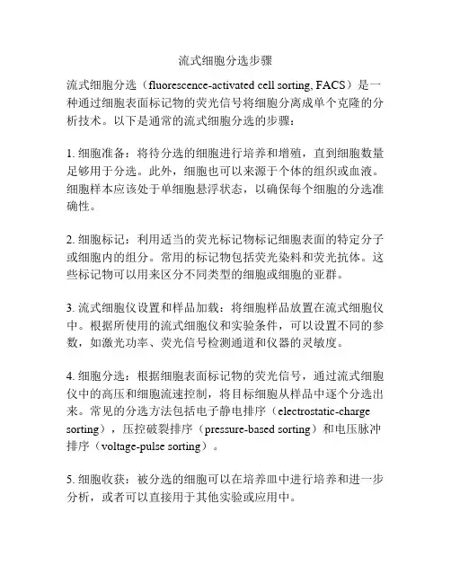 流式细胞分选步骤