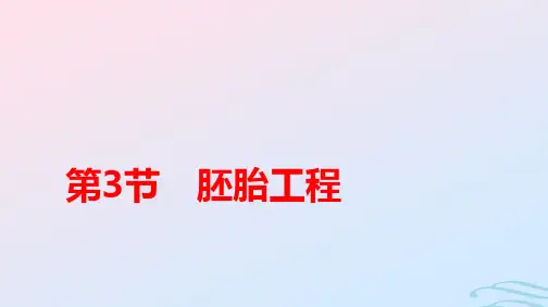 新教材高中生物第2章细胞工程第3节胚胎工程pptx课件新人教版选择性必修3