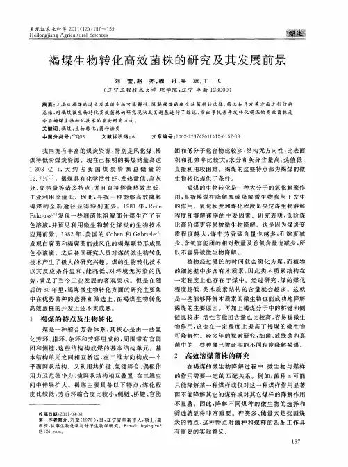 褐煤生物转化高效菌株的研究及其发展前景