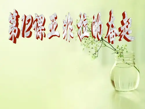 亚非拉的奋起PPT教学课件