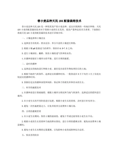 春小麦品种天民184配套栽培技术