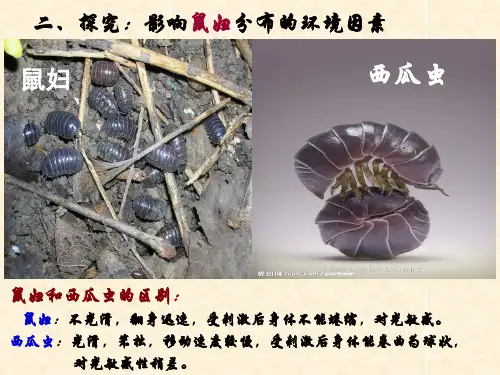 关于“鼠妇”的实验(用)
