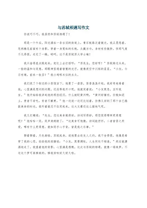 与苏轼相遇写作文