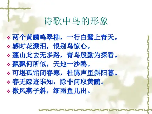 梁实秋《鸟》ppt课件(17页)