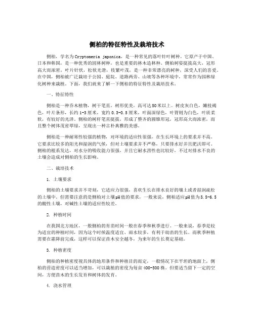 侧柏的特征特性及栽培技术