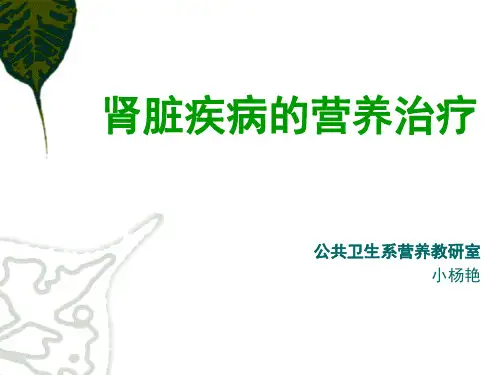 临床营养学肾脏疾病的营养治疗PPT课件
