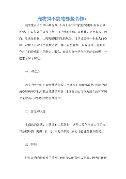 宠物狗不能吃哪些食物？
