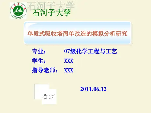 化工专业毕业论文答辩PPT编程实验