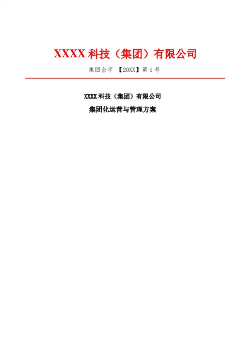 集团化运营与管理方案(全套)