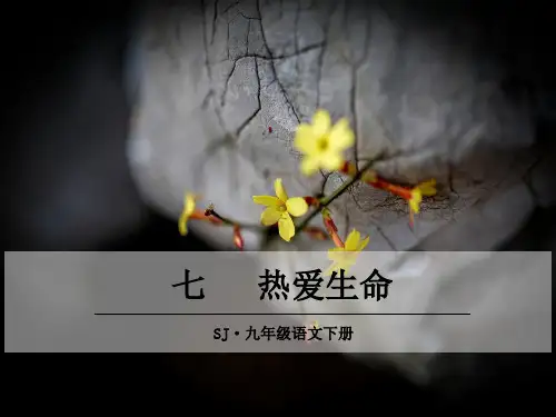 语文苏教版九年级下册七、热爱生命课件