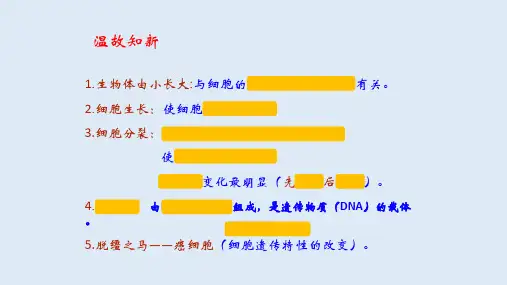 动物体的结构层次 课件