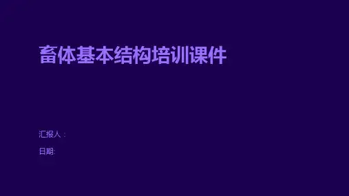 畜体基本结构培训课件