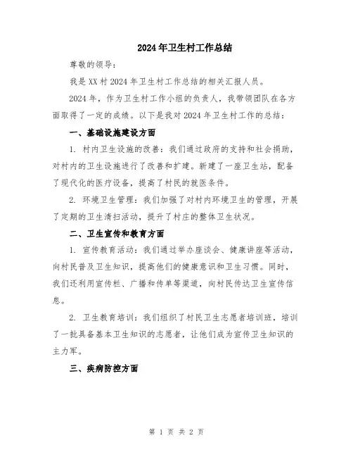 2024年卫生村工作总结