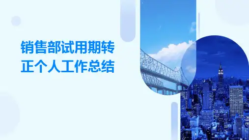 销售部试用期转正个人工作总结PPT