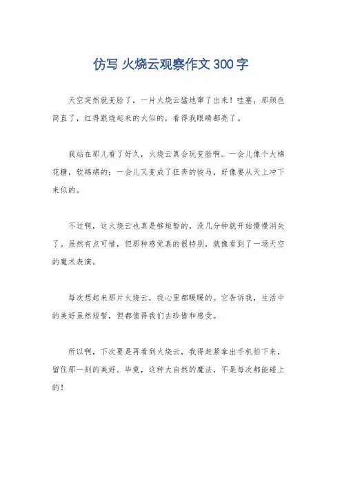 仿写 火烧云观察作文300字