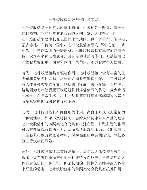 七叶绞股蓝功效与作用及禁忌