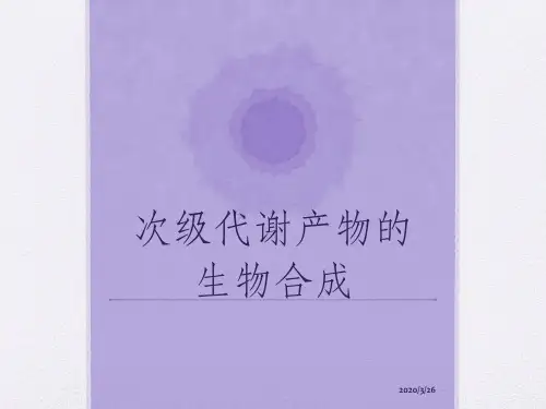 次级代谢产物合成PPT课件