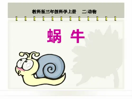 《蜗牛》动物2-教科版三年级科学上册PPT课件