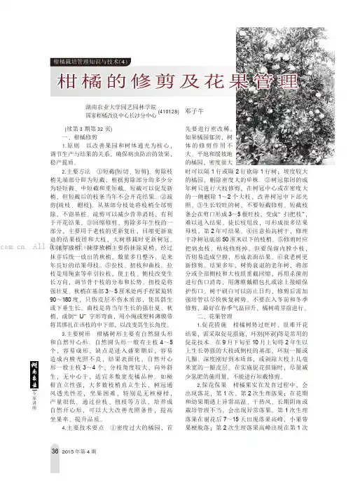柑橘栽培管理知识与技术(4) 柑橘的修剪及花果管理