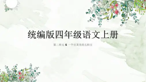 一个豆荚里的五粒豆ppt课件
