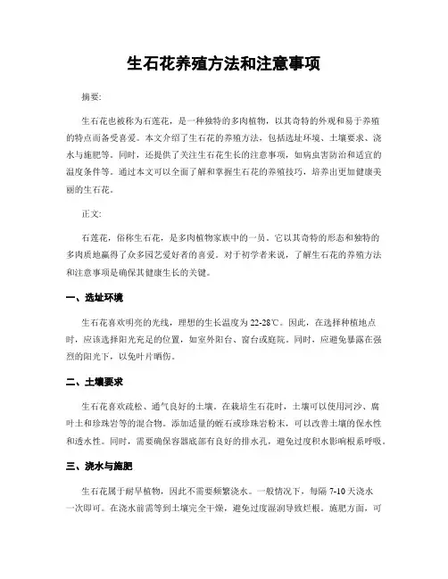 生石花养殖方法和注意事项