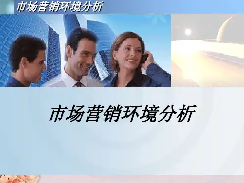 现代市场营销环境分析报告(ppt 25页)