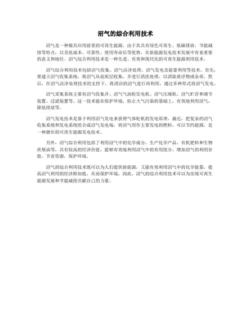沼气的综合利用技术