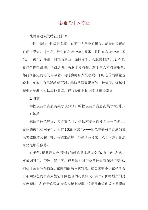 泰迪犬什么特征