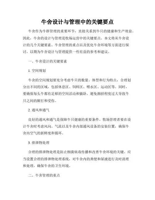 牛舍设计与管理中的关键要点