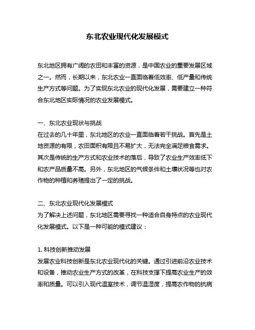 东北农业现代化发展模式