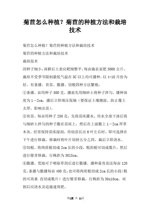 菊苣怎么种植？菊苣的种植方法和栽培技术