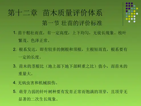 苗木质量评价体系