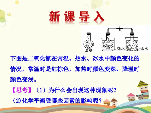 化学平衡的移动 完整版课件