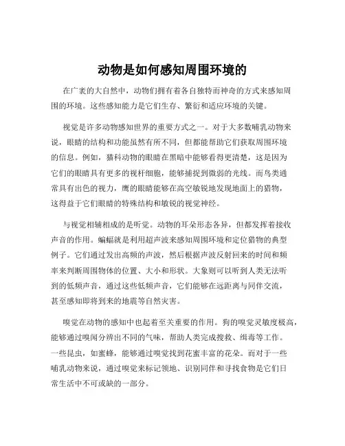 动物是如何感知周围环境的