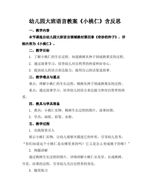 幼儿园大班语言教案《小桃仁》含反思