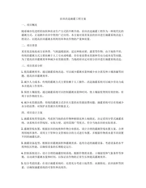 农田改造滴灌工程方案