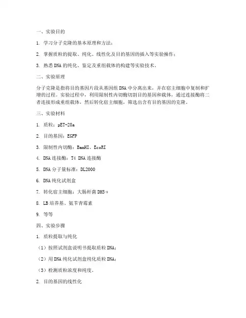 分子克隆部分实验报告