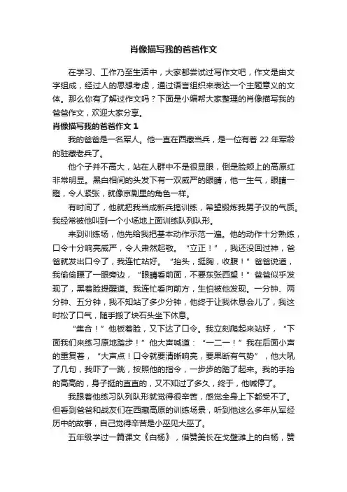 肖像描写我的爸爸作文