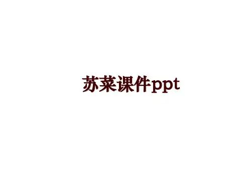 苏菜课件ppt