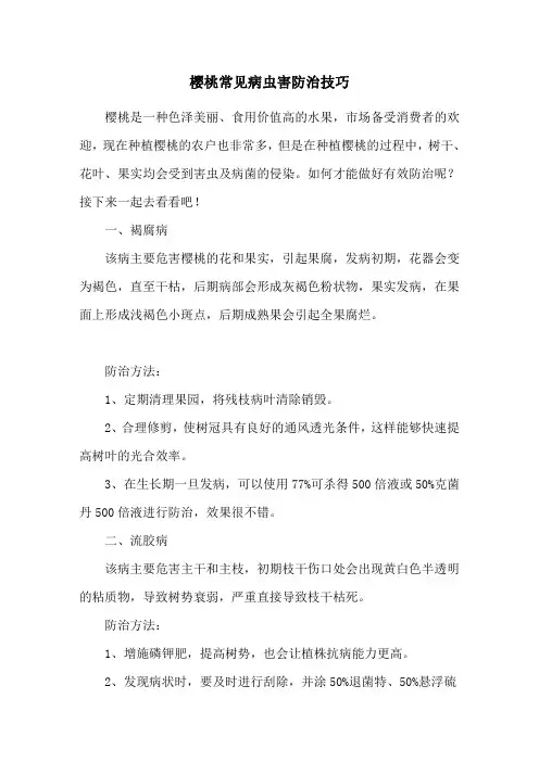 樱桃常见病虫害防治技巧