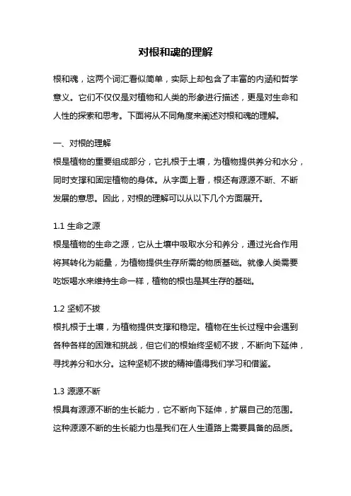 对根和魂的理解