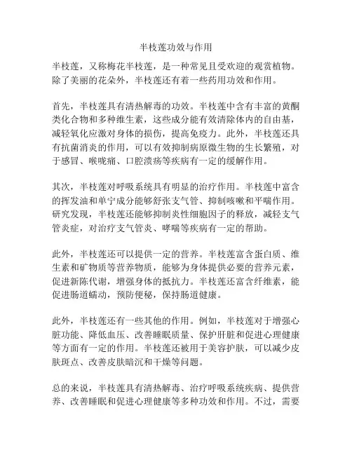 半枝莲功效与作用