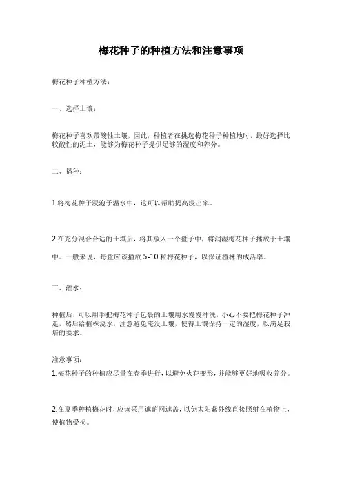 梅花种子的种植方法和注意事项
