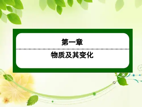 高2022届高2019级高一化学新教材必修1人教版学案配套课件1-1-2
