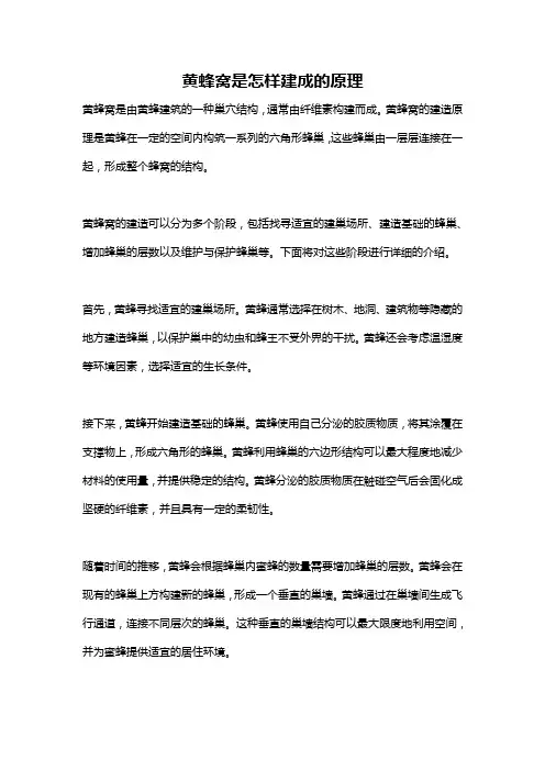 黄蜂窝是怎样建成的原理