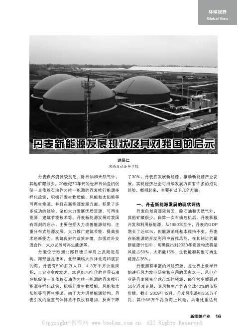 丹麦新能源发展现状及其对我国的启示