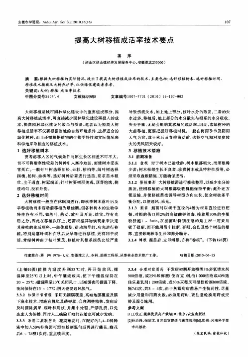 提高大树移植成活率技术要点
