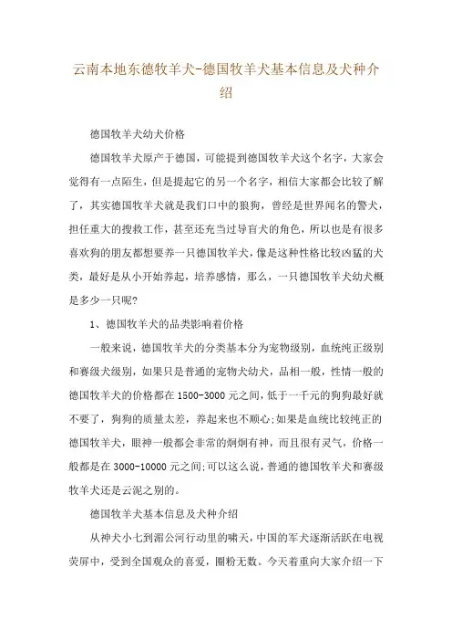 云南本地东德牧羊犬-德国牧羊犬基本信息及犬种介绍