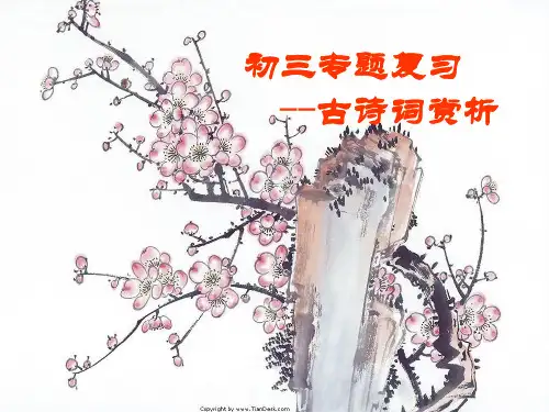 初三专题复习--古诗词赏析
